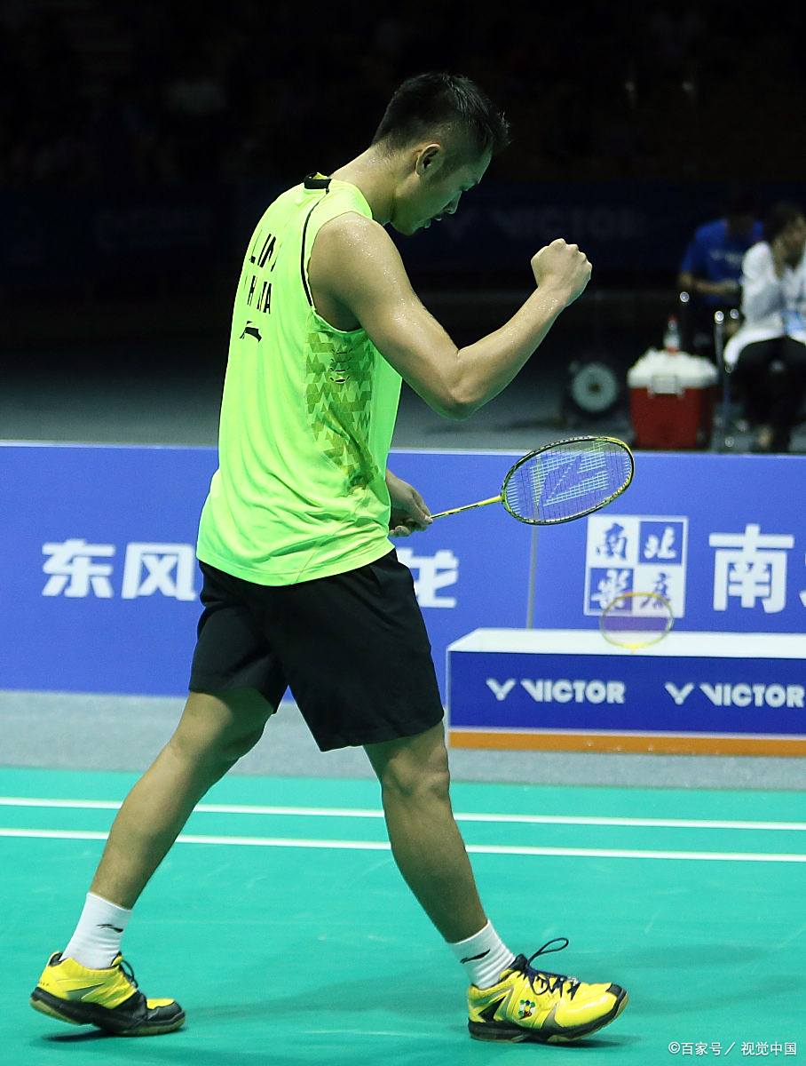 中国羽毛球队横扫韩国羽毛球队，林丹打破历史纪录的简单介绍