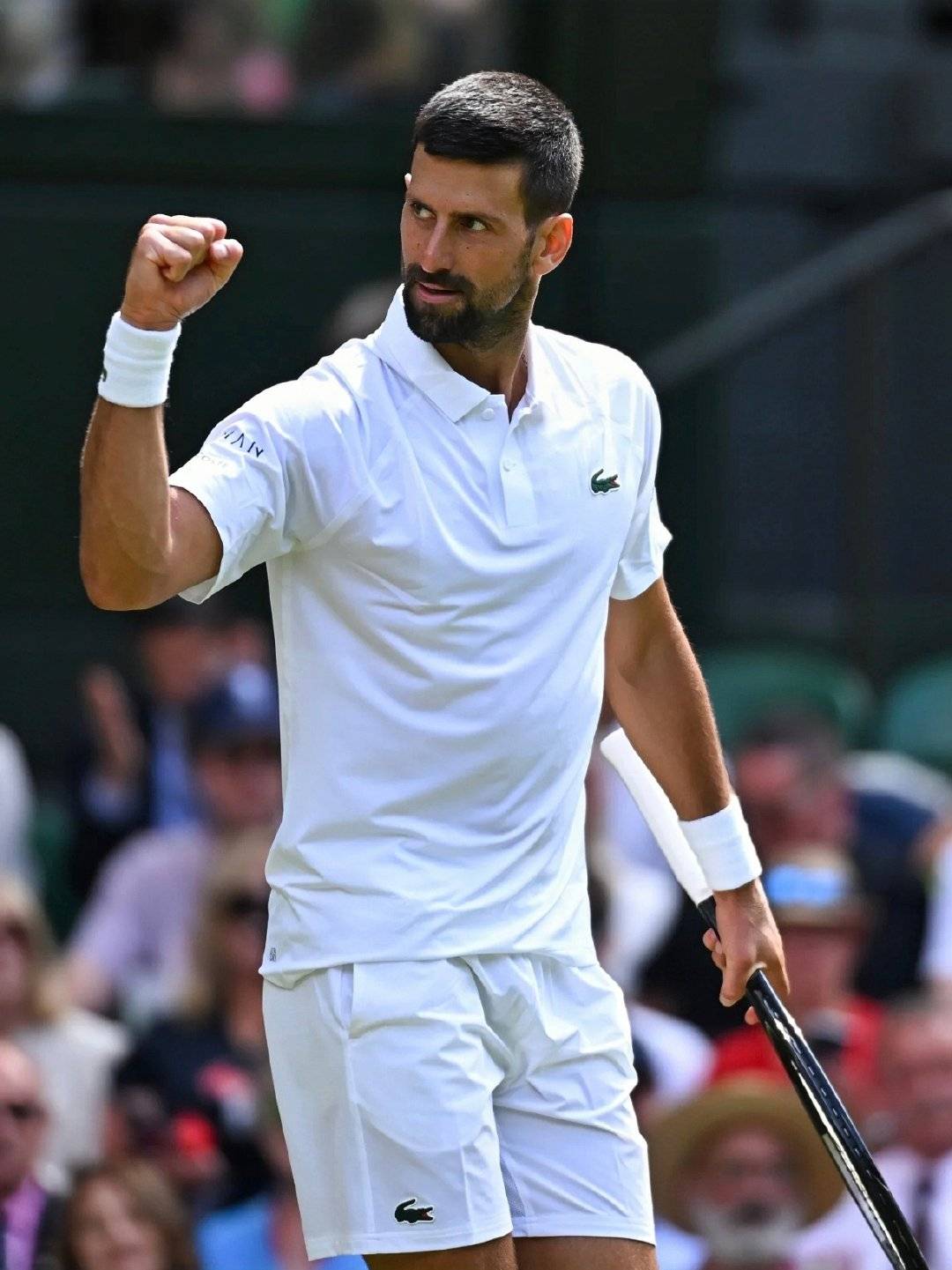 包含世界网球队险胜德国网球队，德约科维奇关键制胜的词条