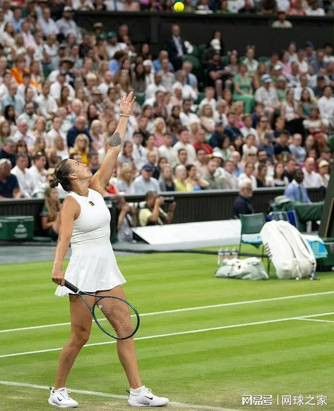 关于世界网球队完胜日本网球队，克耶高斯打破历史纪录的信息