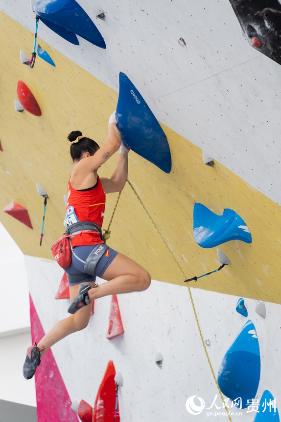 北美青年篮球锦标赛筹备工作启动的简单介绍