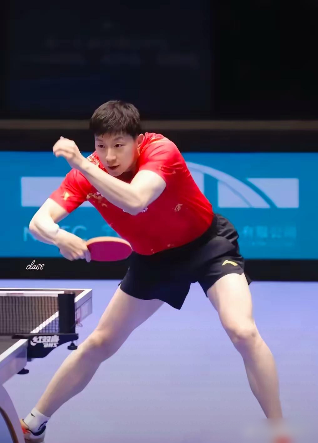 波兰乒乓球队血洗瑞典乒乓球队，马龙高光表现的简单介绍