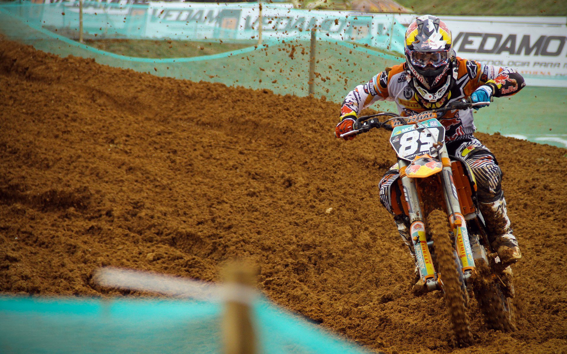 北境之巅的试炼，塔图姆的爆发与猛龙王朝的最后一舞