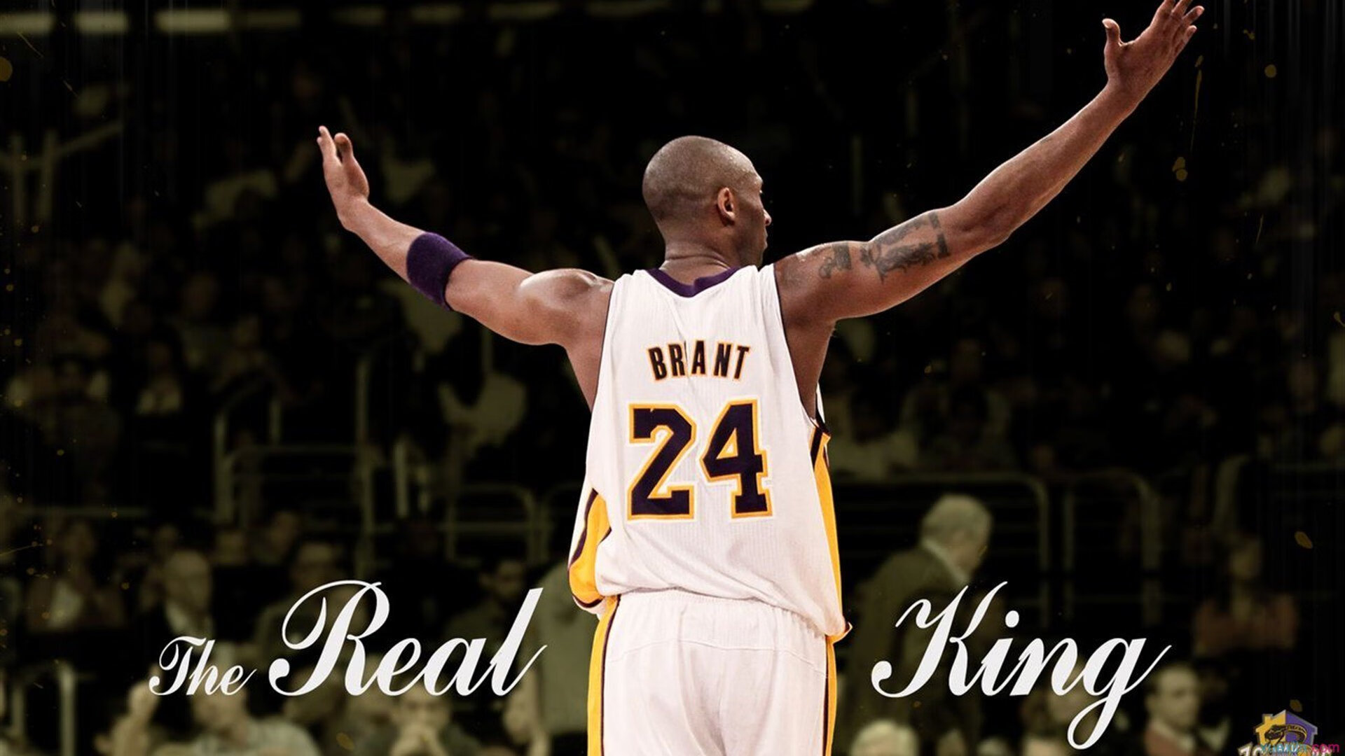 德罗赞一剑封喉！吉林队团队篮球完胜广州，诠释坚韧与智慧